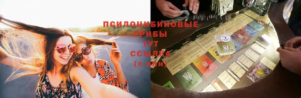 СК Медвежьегорск