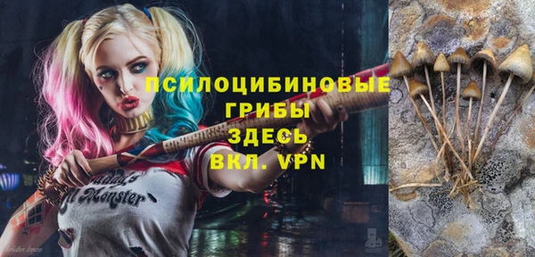 хмурый Магас