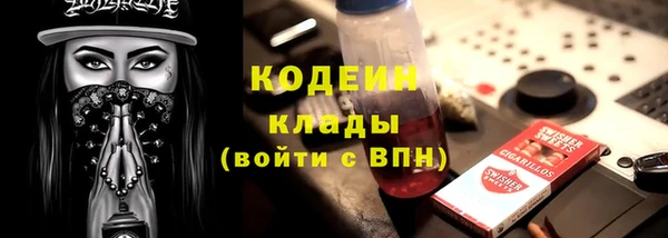 СК Медвежьегорск