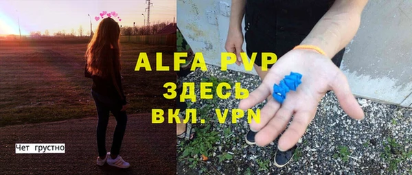 СК Медвежьегорск