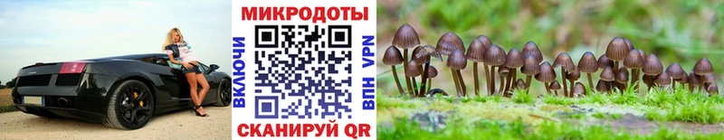 Псилоцибиновые грибы MAGIC MUSHROOMS  Никольское 
